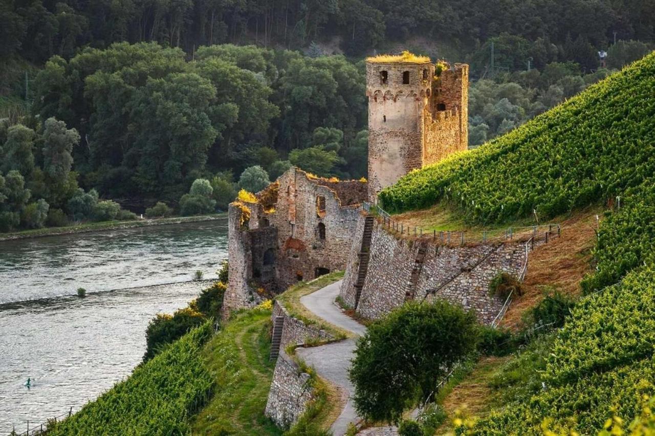 Hotel Trapp Rüdesheim am Rhein Dış mekan fotoğraf