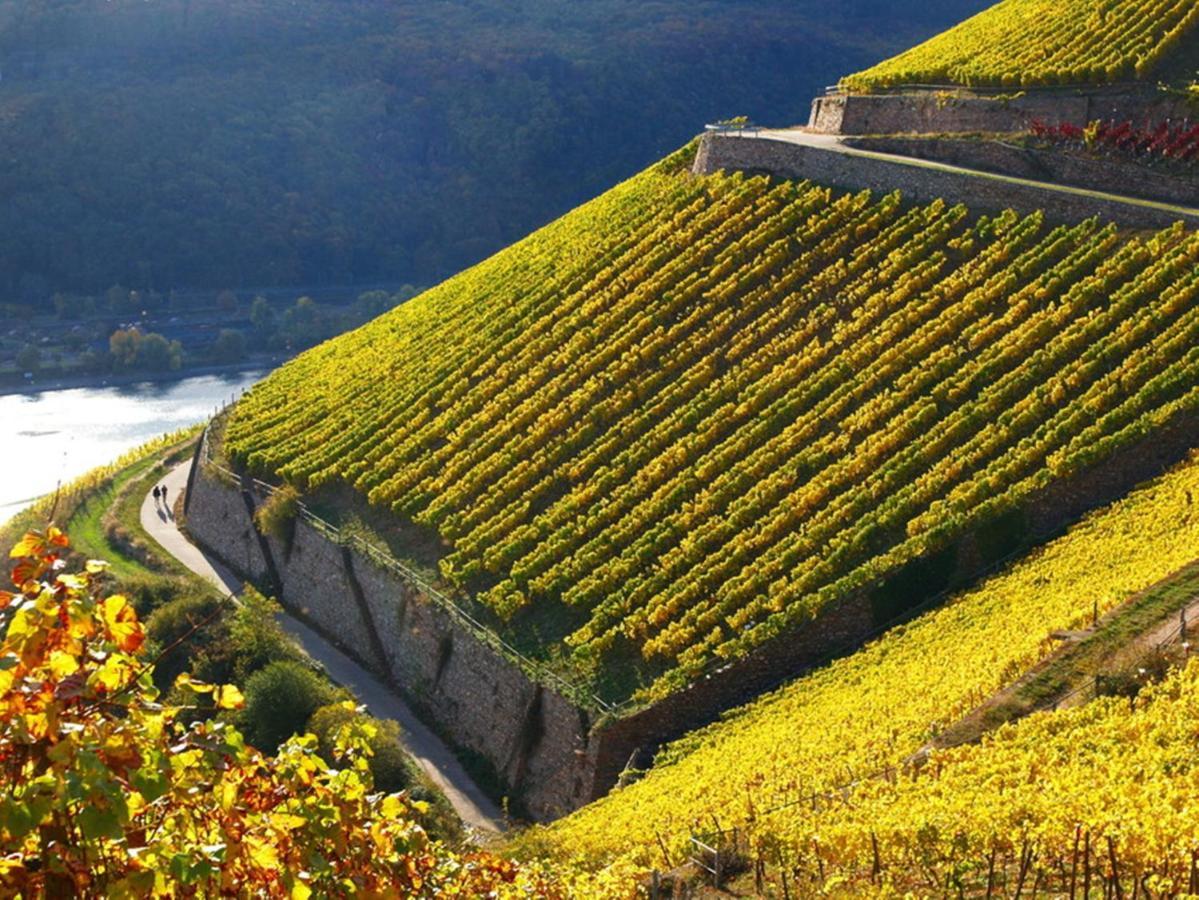 Hotel Trapp Rüdesheim am Rhein Dış mekan fotoğraf