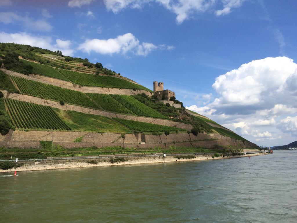 Hotel Trapp Rüdesheim am Rhein Dış mekan fotoğraf