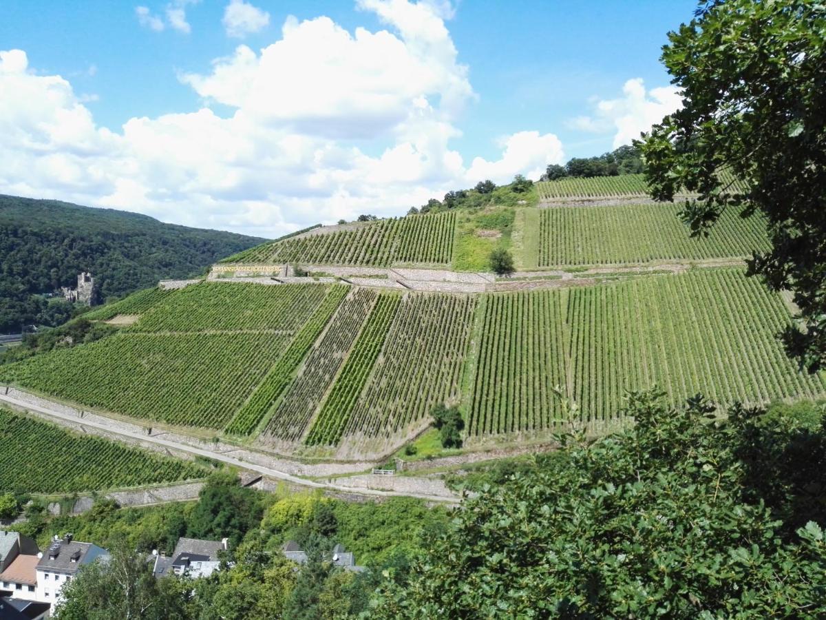 Hotel Trapp Rüdesheim am Rhein Dış mekan fotoğraf